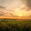 새벽노을2 이미지