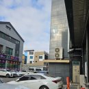 동탄호수공원네일 봄맞이 산뜻한 디자인 리세르네일 후기