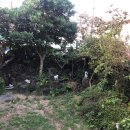 하루나의뜰 | 제주도 독채펜션 추천 - '하루나의 뜰'