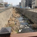 검단초등학교 앞 (사거리 근처) 이미지