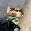 호두나무펜션 이미지