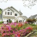 레몬펜션 이미지