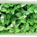 효열초등학교 이미지