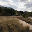 스파펜션링스 이미지