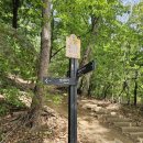 우면생태놀이터 이미지