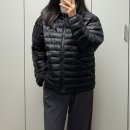95 | 노스페이스 경량패딩 | 벤투스 온 자켓 95(M) 사이즈 후기