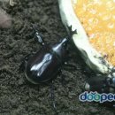 상수리PC 이미지