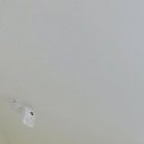 청주쥬니어소아치과의원 이미지