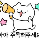 블루룸소주방 네이버블로그