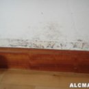 ALC주택의 곰팡이발생원인 및 대책 이미지