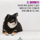 가평동물병원 이미지