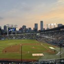 중2-324 | [야구/잠실] 중앙네이비 324블럭 2열 후기 | 시야 &amp; 보영만두 후기