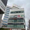 리본동물의료센터 | 24시 리본동물의료센터 정기검진 후기