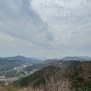일광산 갔다가 기장왕칼국수 먹은 후기 (일광산 가는 길 알려드려)