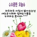 소중한오늘 이미지