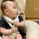 [B.Diary_16] 문화센터 가을학기(5개월 - 8개월)_토리토리 오감놀이