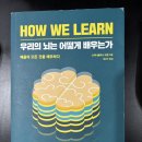 드앤 | 아버지가 딸들에게 전해주고 싶은 이야기 – 우리의 뇌는 어떻게 배우는가를 읽고