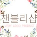 에스제이풀빌라팬션 이미지