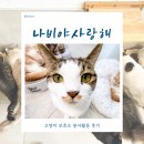 나비야 | 서울 고양이 보호소 나비야사랑해 봉사활동 후기(+정기 봉사자 모집 중)