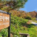 고은집펜션독채 이미지