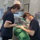 에스치과의원 이미지