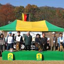 Gumiland 이미지