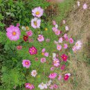 미르부동산공인중개사사무소 이미지