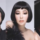 슈콜렉션 이미지