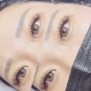 캣츠래쉬 이미지
