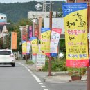 돼지열병에 축산축제 잇단 취소 봉계한우축제 수억 재고 떠안아