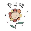 초원꽃집 - 부천시 소사구 경인로 563-1 | 초원꽃집
