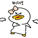 프리티파우 이미지