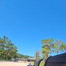 봉황거리 벽화 | 국립고궁박물관 창덕궁의 근사한 벽화