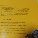 테마포커스