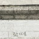 락떼스피릿
