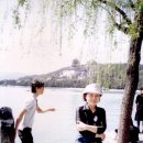 언제라도, 봄 이미지