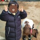 동촌 농장 이미지