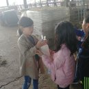 금와농장 이미지