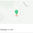 오늘N 6년 숙성 묵은지 닭볶음탕 식당 이미지