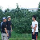 금영농장 이미지