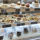 개밥주는여자 이미지