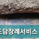 도담상조 이미지