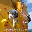 지수네 민박 이미지