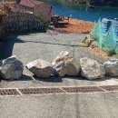 해안물양장 이미지