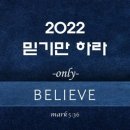 하라인터내셔널 이미지