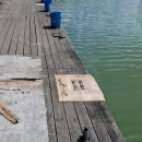 도하저수지 이미지