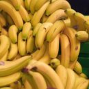 바나나 이미지