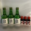 골든파인펜션 | &#39;n번째 방문&#39; 영월 골든파인펜션 :: 독채 개별바베큐 계곡까지 갓벽⭐️