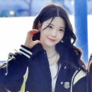 채원 이미지