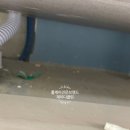 주식회사시온씨앤알 | 동대문 입주청소 전문 업체 청소 방법 장안동 시온그랜드빌